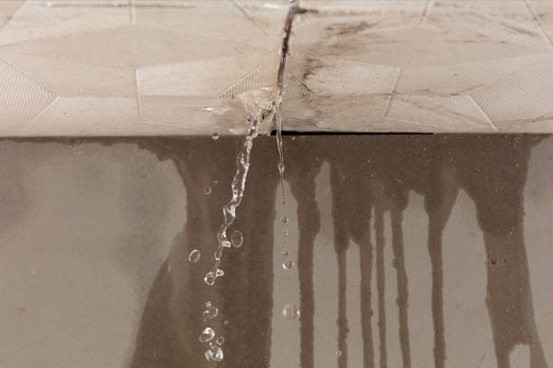 Professional Water Damage Inspection technician working in Quincy, OH